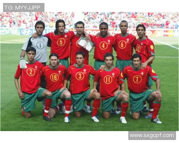 全球最具影响力的五大足球巨星最新排名与荣耀成就解析