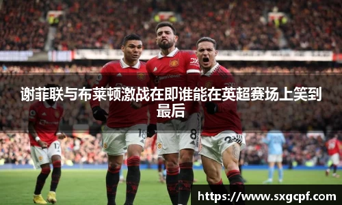 谢菲联与布莱顿激战在即谁能在英超赛场上笑到最后